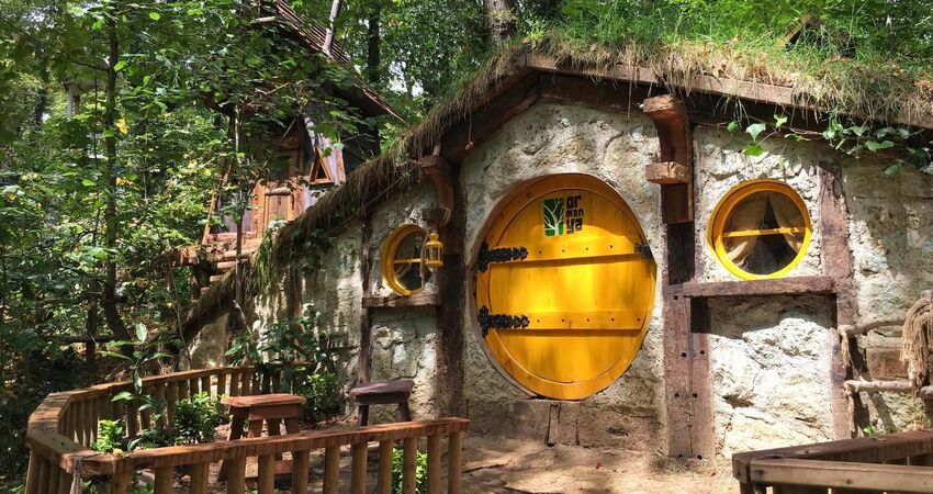 Günübirlik Sapanca & Maşukiye Turu Galeri