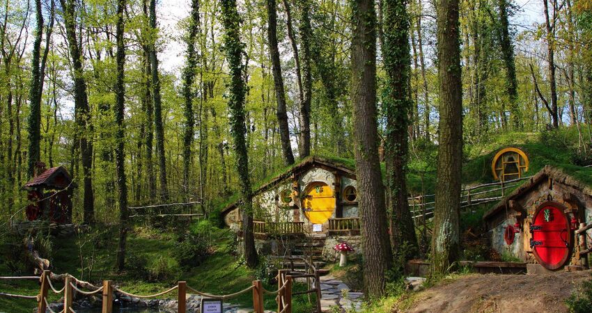 Günübirlik Sapanca & Maşukiye Turu Galeri