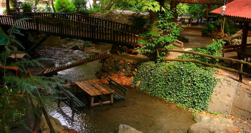 Günübirlik Sapanca Maşukiye Turu